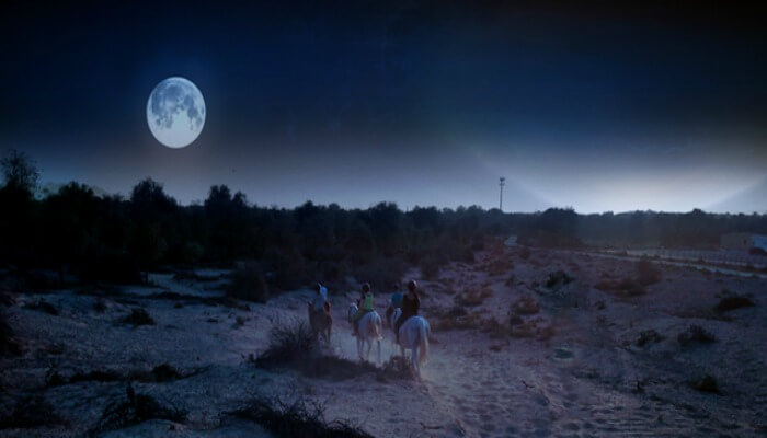 Full moon horse ride in Dubai