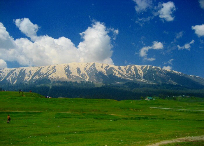 Beautiful picnic spot near Manali
