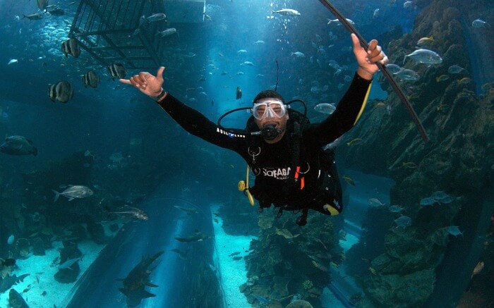 Night diving in Dubai