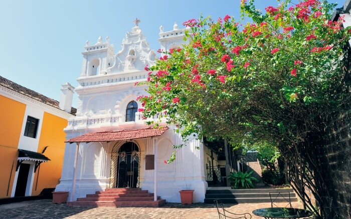 White catholic Church and pink branches in Goa