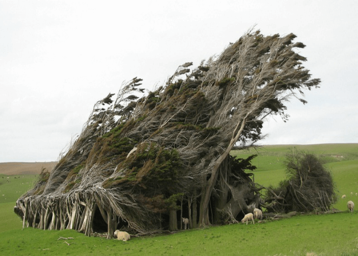 The most beautiful southernmost point of New Zealand