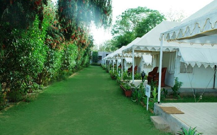 Luxury tents at Tiger Machan in Sawai Madhopur - Ranthambore