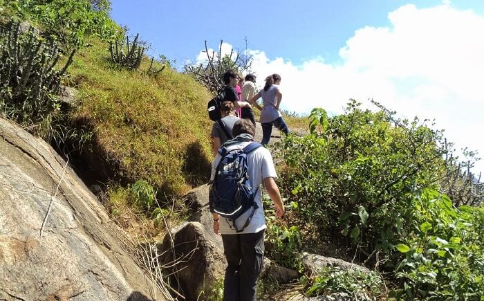 Tourists indulging in trekking in Rajasthan