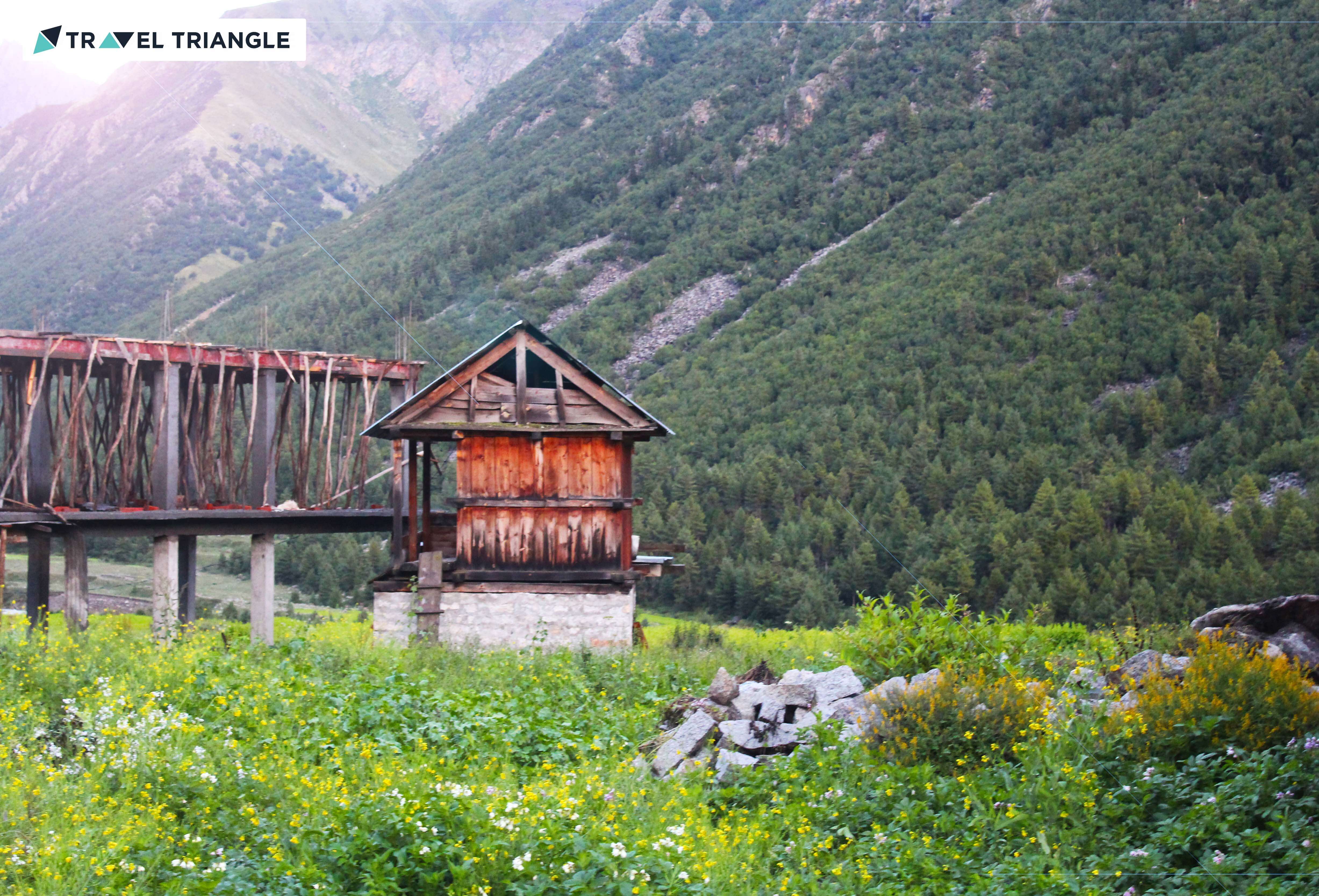 Beautiful nature in Himachal