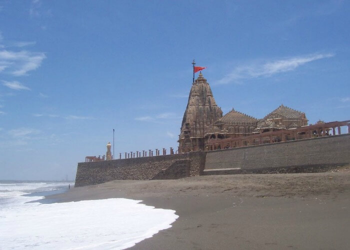 Spot various sea creatures on the shallow shores of Dwarka
