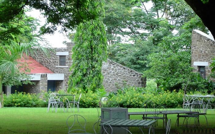 Garden in Hotel Kailas in Ajanta Ellora Caves area