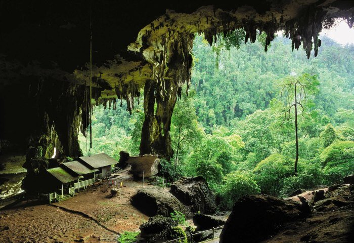 The caves inside the Gunung Mulu National Park In Thailand