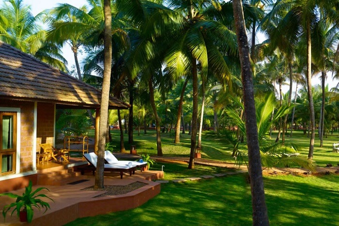 9 Best Ayurveda Resorts In Kerala For A Revitalising Retreat