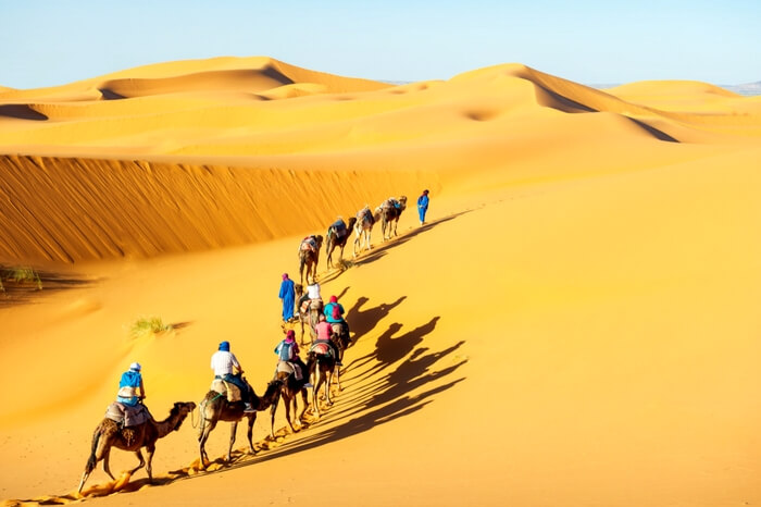 A caravan moving across the desert in Jaisalmer