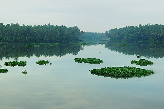 A shot of the Akkulam Lake and the lush greenery surrounding it