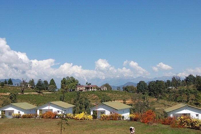 Beautiful and peaceful looking Chaukori area in Uttarakhand