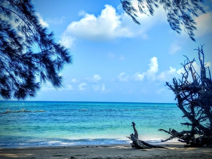 Wandoor beach in Port Blair