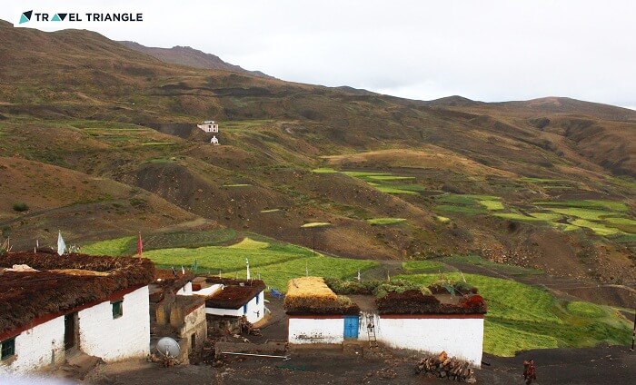 Beautiful Komic village in Himachal