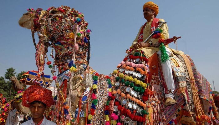 A local rides a camel during the Matsya Festival