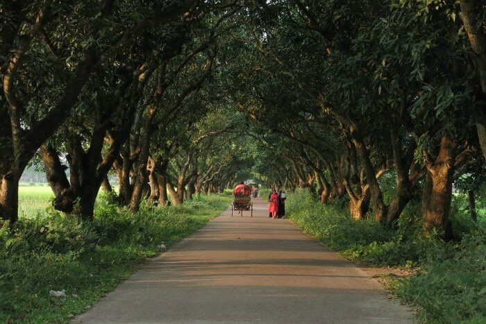 Drive to Bangladesh and have a fun road trip from India to Bangladesh