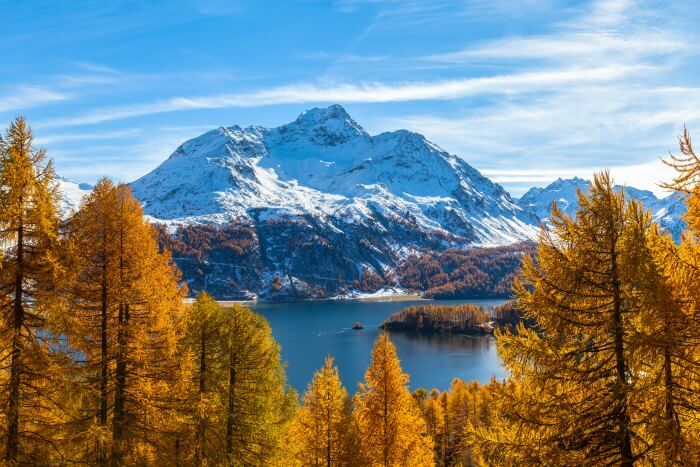 The Alps and lake in Switzerland as visible through a forest