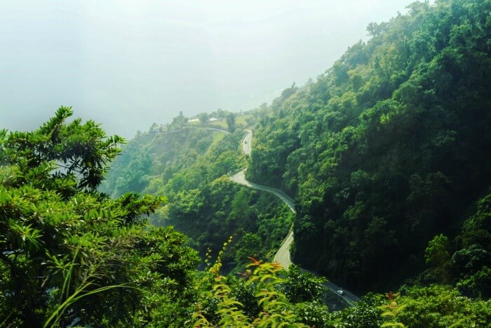 the roads winding through lush hills