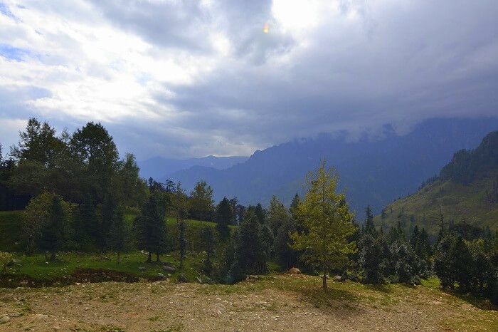 Beauty of nature in Himachal