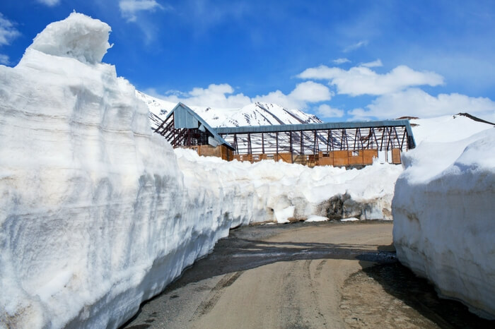 Image result for go rohtang pass manali