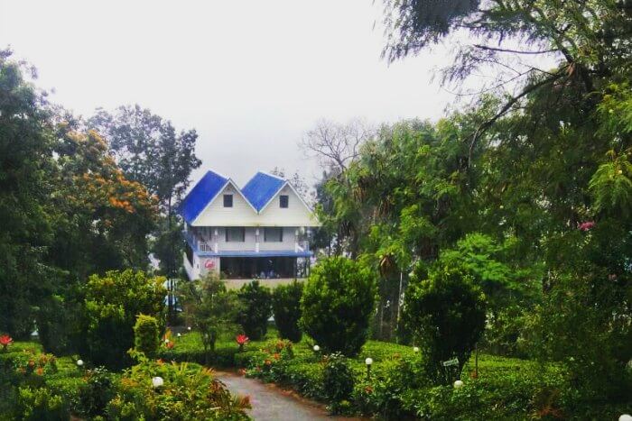 anuj's hotel in Munnar, Kerala