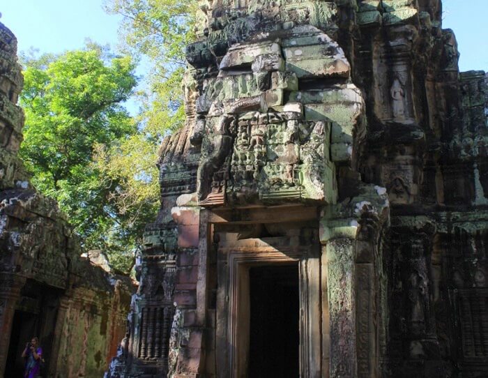 Beauty of Ta Phrom Temple