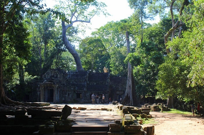 Sightseeing in Ta Phrom Temple