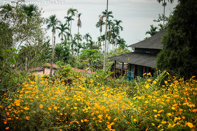 Mawlynnong
