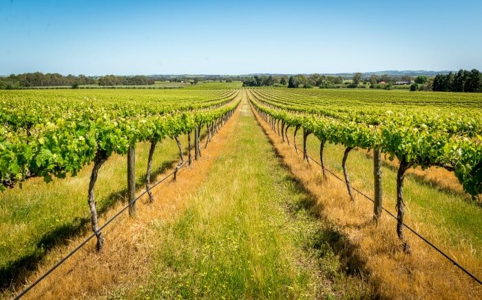 Winery in Barossa Valley