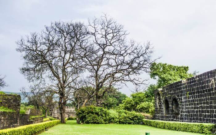 Lush green garden in Daulatabad Fort which is one of the famous forts in India
