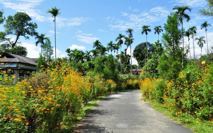 The Cleanest Village In Asia: All About Mawlynnong In 2019