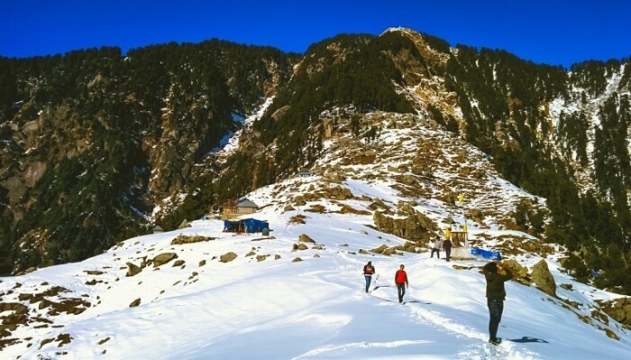 Triund Trekking in Mcleodganj