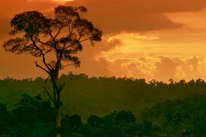 Nature at the time of sunset in a still from the documentary Sacred Planet