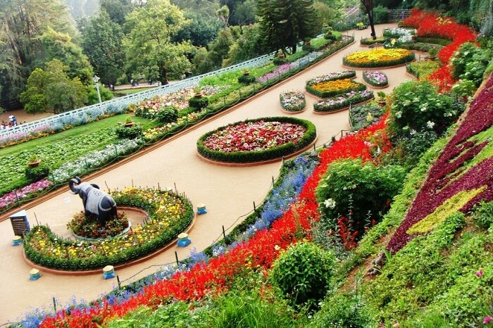 Flower show in Ooty