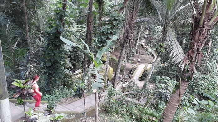 People trekking through a forest