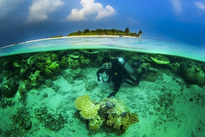 Man Scuba Diving