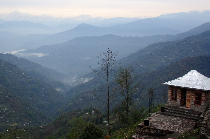 A homestay at the Neora Valley that is one of the most beautiful valleys in India