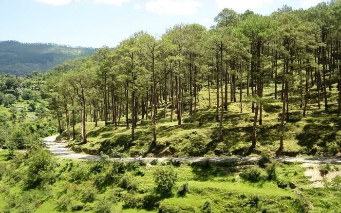Road to Kausani
