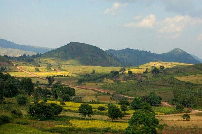 A snap of the sunkissed Araku Valley