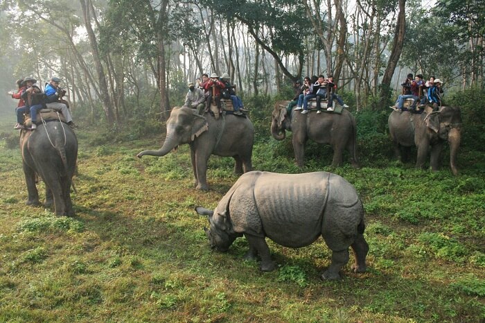 Tourists take an elephant safari in the Chitwan National Park