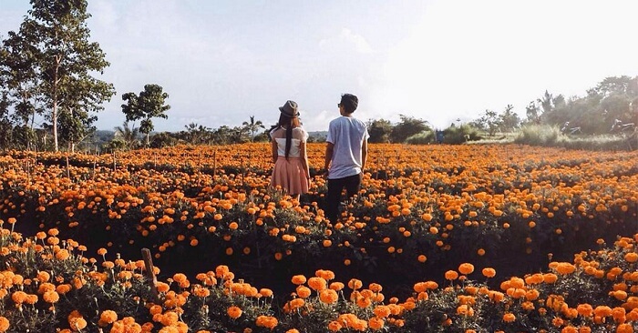 Honeymoon couple in Bali