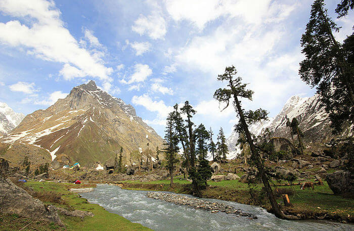 Har Ki Dun Winter Trek