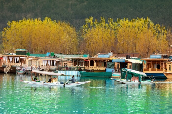 Dal Lake with lots of boats and shikaras sailing on a beautiful day