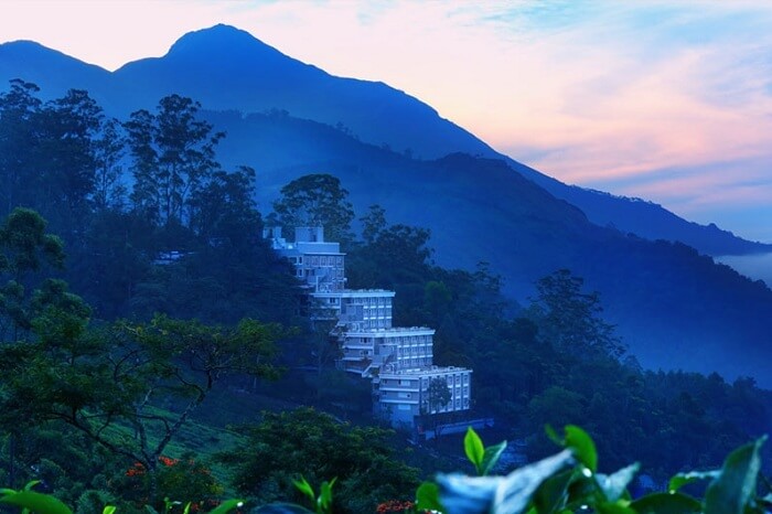 Chandy's Windy Woods Munnar