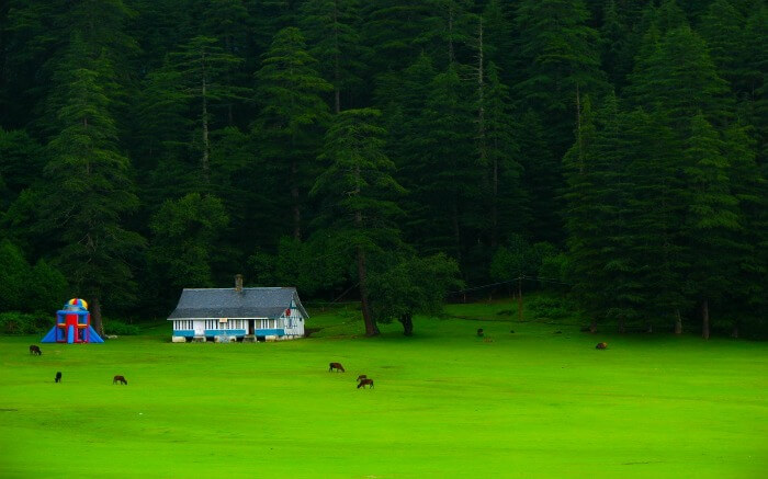 View of Dalhousie