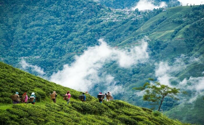 Women in Darjeeling