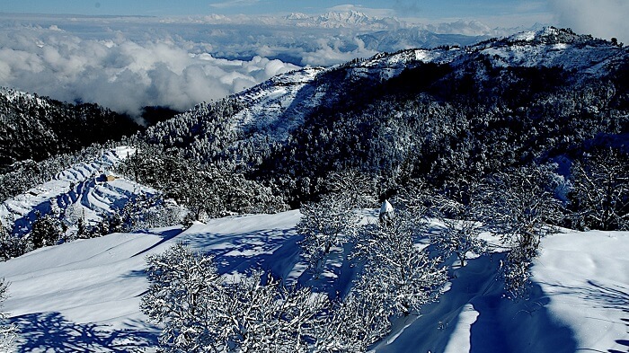 snowfall in Kanatal