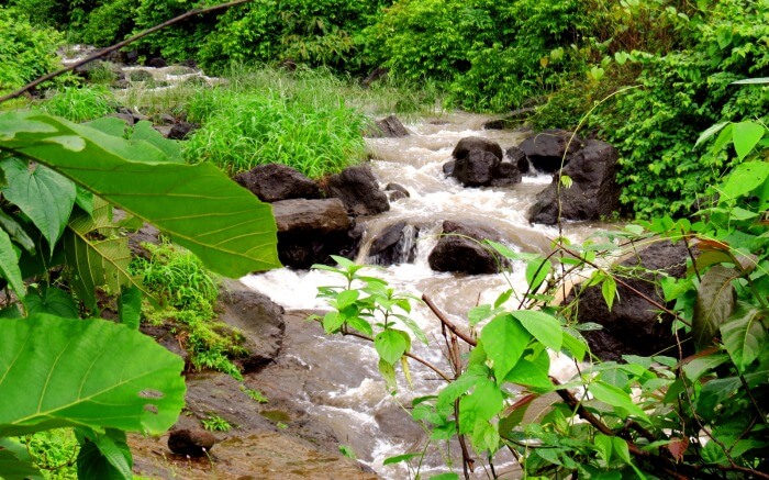 A stream in Karjat which is one of the ideal honeymoon places near Pune
