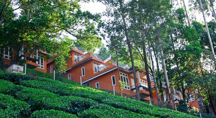 Tea Valley Resort Munnar
