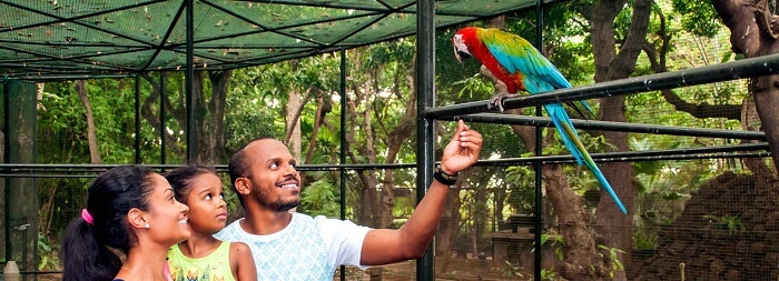 Bird Aviary in Casela Nature Park