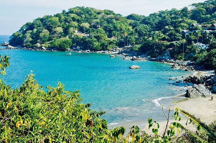A view of the beach and the surroundings at Tarkarli